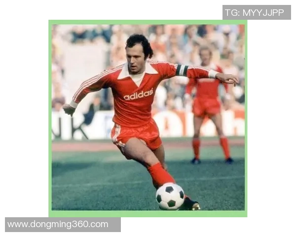 足球巨星传奇之路十五年不败的荣耀与坚持 足球巨星传奇之路十五年不败的荣耀与坚持